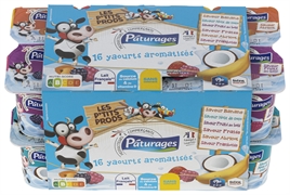 PÂTURAGES (INTERMARCHÉ) 16 YAOURTS AROMATISÉS PÂTURAGES (INTERMARCHÉ) 16 YAOURTS AROMATISÉS