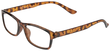 DAYES (ALBERT HEIJN) LUNETTES DE LECTURE