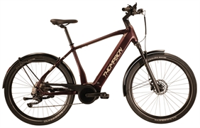 THOMPSON BC-E SUV 2024