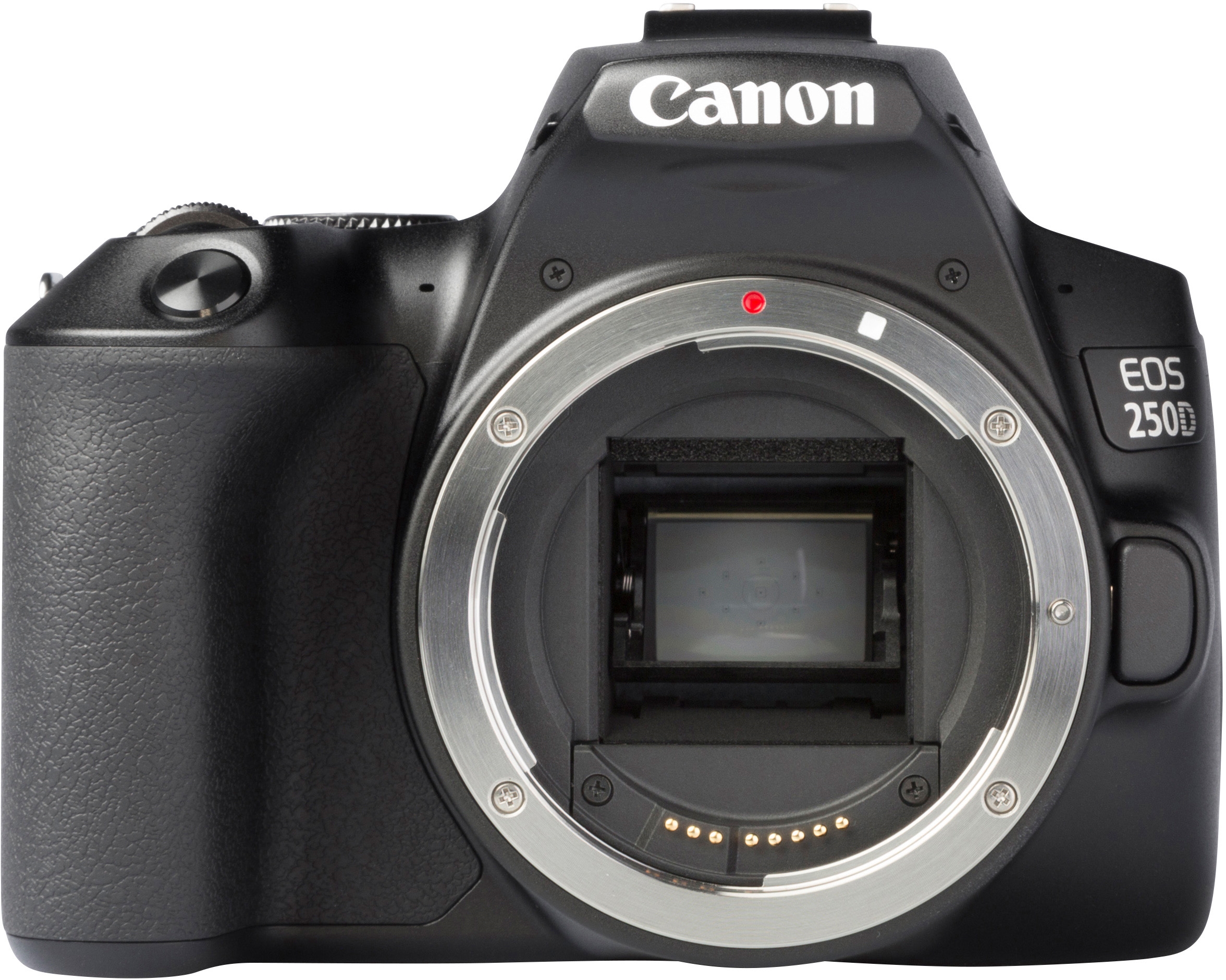 CANON EOS 250D WITH EF-S 18-135MM: test complet, prix, spécifications